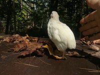 20181004_122938.jpg
