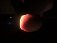Day 16-1.jpg