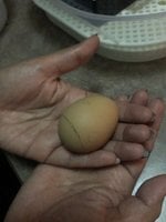 Day 16-7.jpg