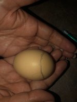 Day 16-10.jpg