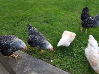 20180920_185531.jpg