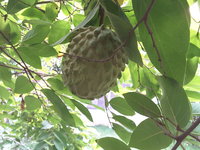 20181005_161830.jpg