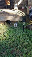 20181004_171857.jpg