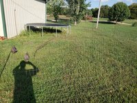 20181005_163556.jpg