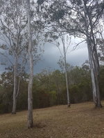 20181006_113402.jpg