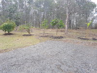 20181006_160152.jpg