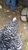 20181003_151517.jpg