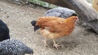 20181003_152138.jpg