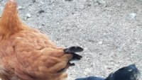 20181003_152110.jpg
