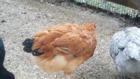 20181003_152131.jpg