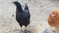 20181003_152019.jpg
