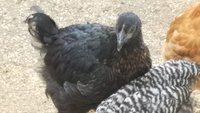 20181003_151957.jpg