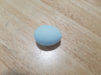 20181006_120710.jpg