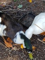 20181006_112510.jpg