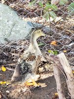 20181006_112517.jpg