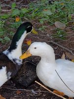 20181006_112501.jpg