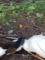 20181006_112505.jpg