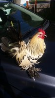 20180907_102533.jpg