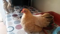 20180915_102940.jpg