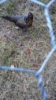 20181006_181001.jpg