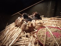 20181007_081435.jpg