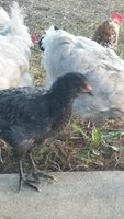 20181006_083735.jpg