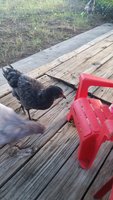 20181006_084136.jpg