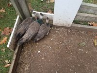 20181007_131954.jpg