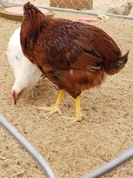 20181007_112225.jpg