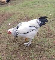 20181008_085148.jpg