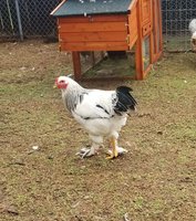20181008_085131.jpg
