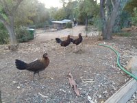 20181008_071757.jpg