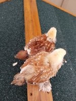 20181008_092001.jpg