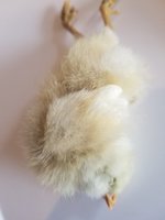 20181008_153103.jpg