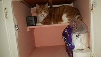 20181007_104447.jpg