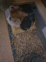 20181008_181618.jpg