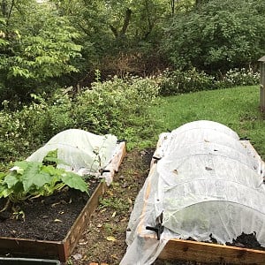 Chicken Salad Seed Mix