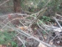 20181008_172125.jpg