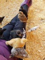 20181009_094522.jpg
