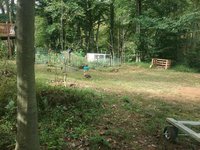 20181009_123248.jpg