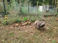 20181009_123313.jpg