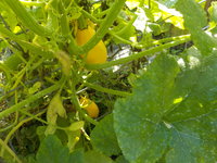 DSCN0857.JPG