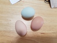 20181009_100723.jpg