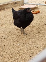 20181007_111938.jpg