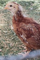 20181009_162047.jpg