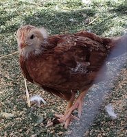 20181009_162121.jpg