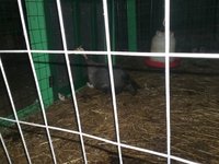 20181009_183441.jpg