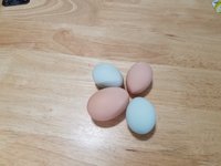 20181011_140721.jpg
