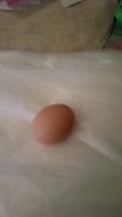 20181011_123221.jpg