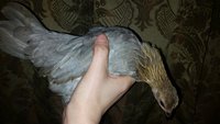 20181011_184740.jpg